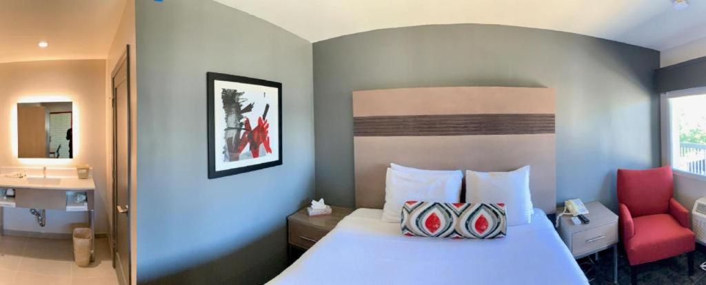 Pacific Motor Inn San Jose Ngoại thất bức ảnh